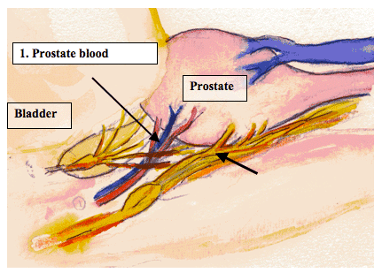 potency figure 2